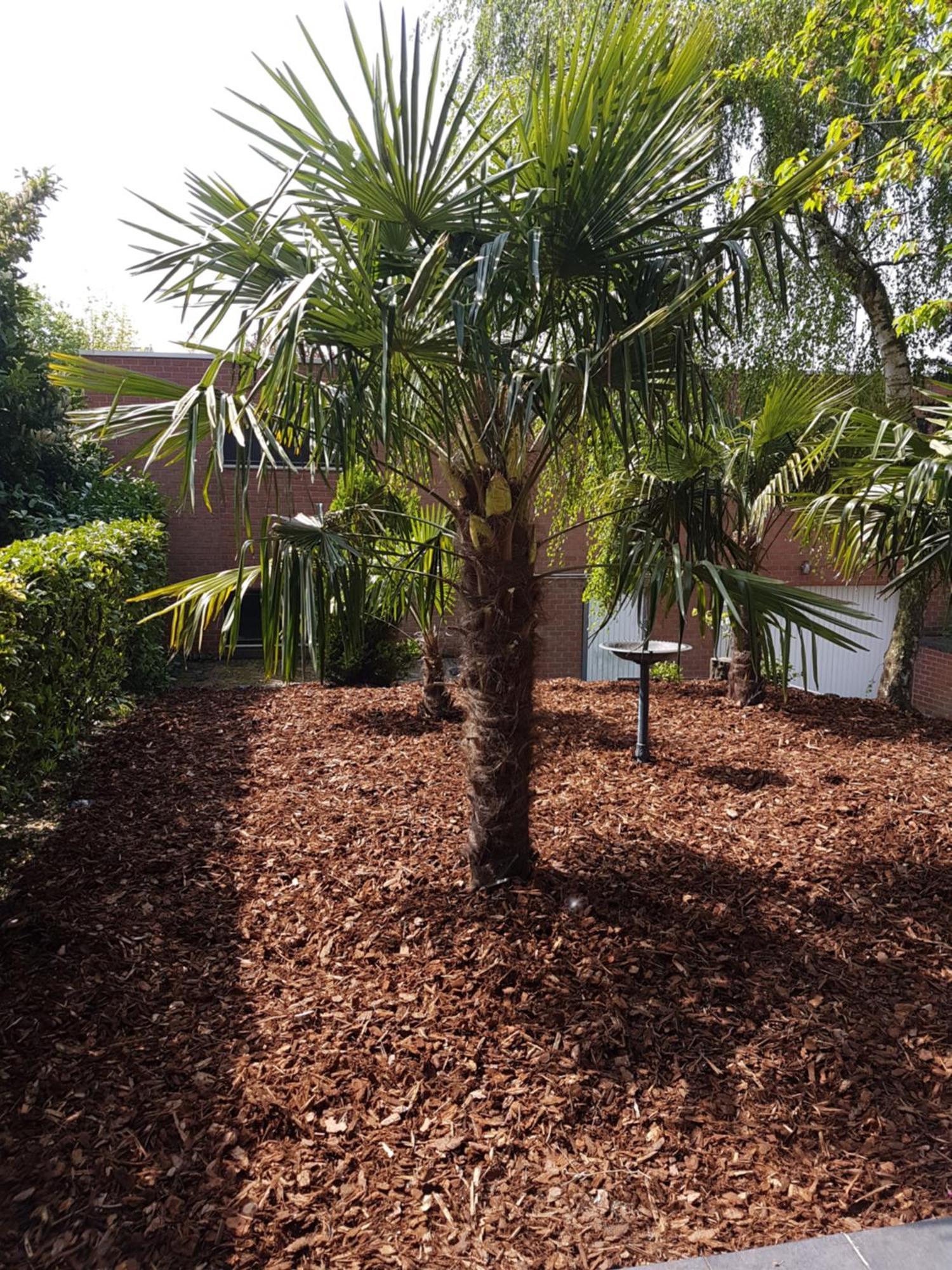 Homestay Gent-Merelbeke Self Check-In Service Melle Extérieur photo